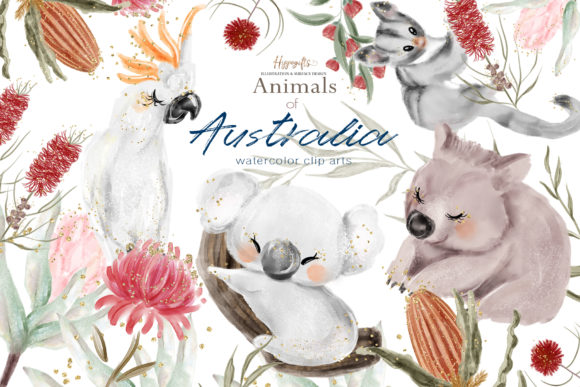 Australia Animals Illustration