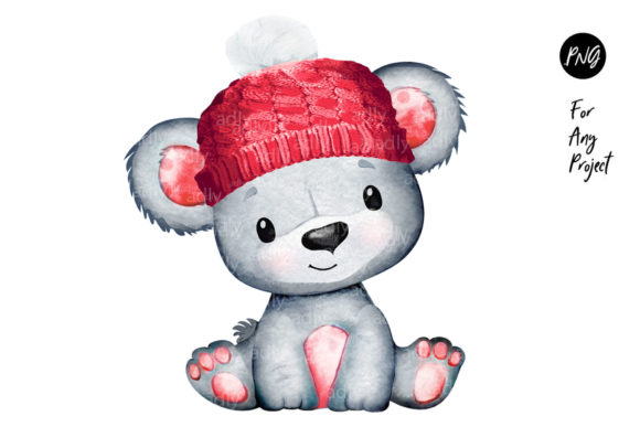 Baby Bear Boy with Red Hat Winter PNG & Illustrations