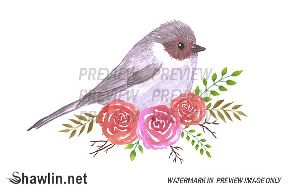 Bushtit and Perennial Roses