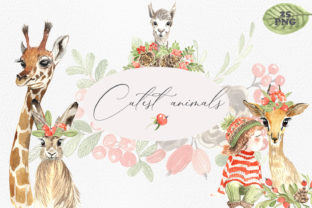 Cutest Animals Illustrations