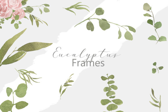 Eucalyptus Frames Illustrations