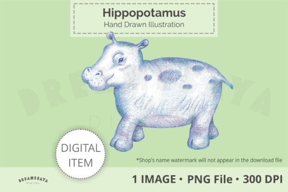Hand Drawn Hippopotamus Png Clip Art and Illustrations