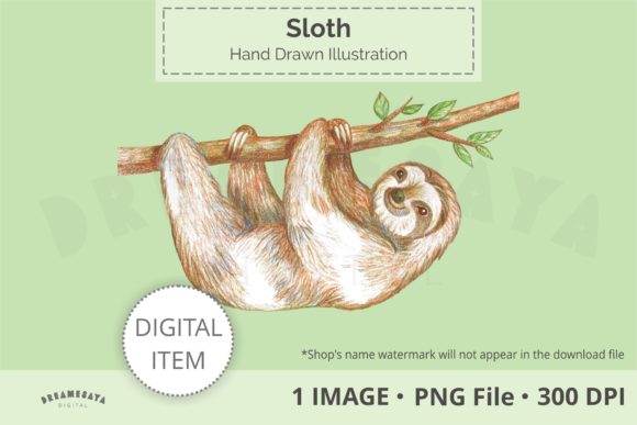 Hand Drawn Sloth Png Clip Art and Illustrations