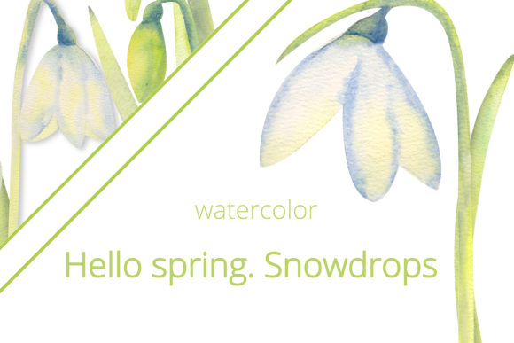 Hello, Spring Frames with Snowdrops