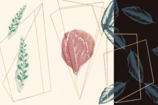 Leaves and Geometry Illustrations Set