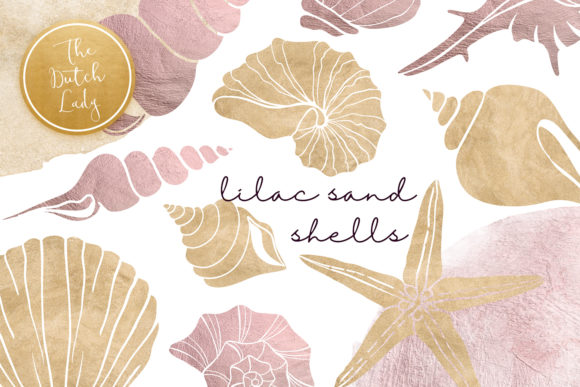 Lilac Sand Seashell Clipart Set & Illustrations