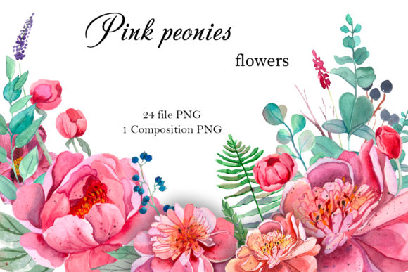 Pink Peonies Flowers Clipart and Illustrations
