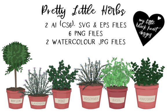 Pretty Little Herbs: Botanical Illustrations for Creative Projects