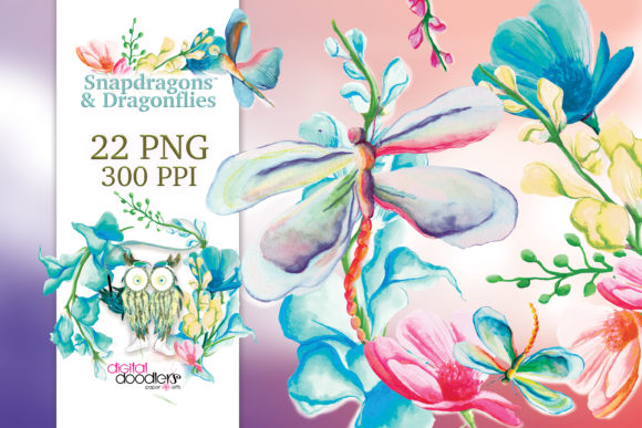 Snapdragons Dragonflies Illustrations