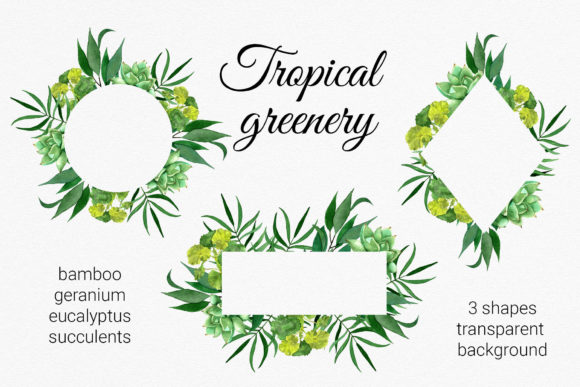 Tropical Greenery Frame Cliparts and Illustrations